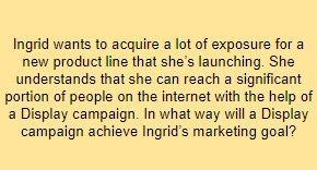 Ingrid wants to acquire a lot of exposure for a new product line that she’s launching. She understands that she can reach a significant portion of people on the internet with the help of a Display campaign. In what way will a Display campaign achieve Ingrid’s marketing goal?