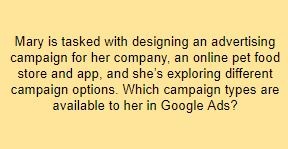 Mary is tasked with designing an advertising campaign for her company, an online pet food store and app, and she’s exploring different campaign options. Which campaign types are available to her in Google Ads?